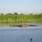 IMG_1476