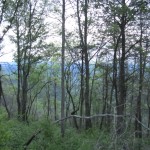 IMG_1500