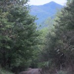 IMG_1505