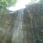 IMG_20110512_135410
