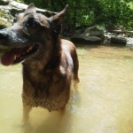 IMG_20110512_140057